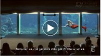 Buổi biểu diễn của những nàng tiên cá ở Mỹ