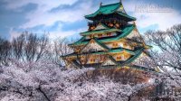Những lý do khiến bạn nên du lịch Osaka trong tháng 8