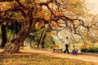 5 điểm du lịch tuyệt nhất mùa thu Việt Nam