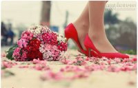 Bạn là người phụ nữ sống tình cảm hay lí trí?