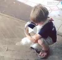 Lại đây ôm cái nào