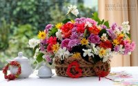 Mẹo cắm hoa tươi lâu chị em nên biết