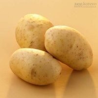 Mẹo luộc và chiên khoai tây đơn giản và hiệu quả