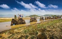 Tour Vu Lan cho người cao tuổi