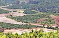 Khám phá cao nguyên Di Linh – Đà Lạt