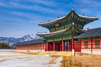Những điểm ăn chơi giá rẻ ở Seoul