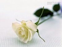 Loại bỏ đờm trong cổ họng mà không cần dùng kháng sinh