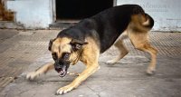 7 Mẹo vô cùng hữu ích trong cuộc sống hằng ngày