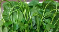 Lợi ích chữa bệnh bất ngờ từ rau mồng tơi