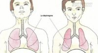 3 Bài thuốc quý giúp bạn sống một đời không bệnh tật