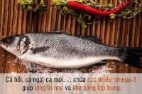 Thực phẩm sáng mắt, tăng trí thông minh cho mùa tựu trường