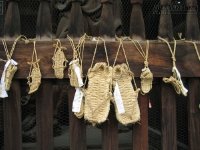 Bao nhiêu giày cỏ mới đủ cho một chuyến đi dài?