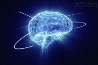 7 hoạt động giúp bạn thông minh hơn