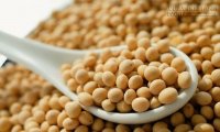 Những người không nên ăn đậu xanh, đậu tương, đậu đen