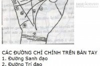 Phân tích các đường chỉ tay để biết vận vận và sự nghiệp của bạn