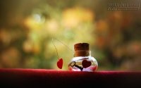Lời thật lòng của người say, mong bạn chớ quên