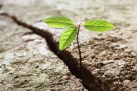 Ca trực đêm đầy suy ngẫm của người bác sĩ
