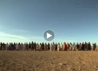 Văn hóa xếp hàng