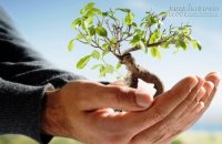 Tìm Động Lực Từ Những Câu Nói Đầy Cảm Hứng