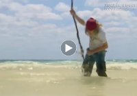 Cứ chăm chỉ rồi trời sẽ cho