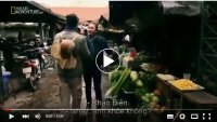 Trải nghiệm đi chợ Châu Long của du khách ngoại