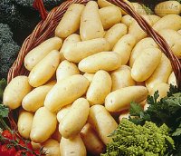 Mẹo đơn giản xóa vết thâm do muỗi đốt