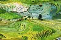 10 mẹo giúp bạn cho ra đời những bức ảnh đẹp khi đi du lịch