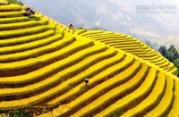 Kinh nghiệm du lịch Hà Giang
