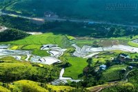 Đồng Cao - điểm cắm trại lý tưởng cho chuyến dã ngoại cuối tuần gần Hà Nội