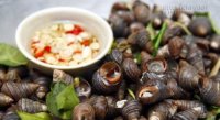Mẹo chọn mua và làm sạch ngao, sò, ốc cực hay