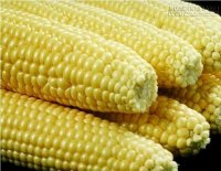 10 Loại thực phẩm nên tránh khi cho con bú