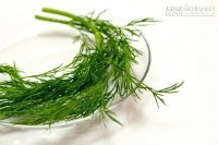 Lợi ích sức khỏe của rau thì là