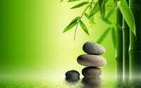 3 Bài Học Từ Cây Tre - Ngẫm Cách Sống Ở Đời
