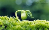 Đi Tìm Mảnh Đất Bình Yên Phía Sau Những Mất Mát
