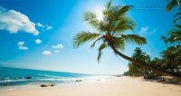 5 bãi biển đẹp tựa thiên đường trên khắp đất nước mình
