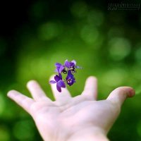 12 Điều Dạy Phải Luôn Nhớ Kĩ Nếu Bạn Muốn Trưởng Thành