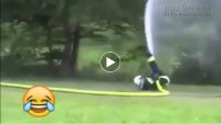 Trò tiêu khiển của các anh lính cứu hỏa