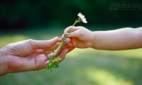 Những điều thú vị trong cuộc sống