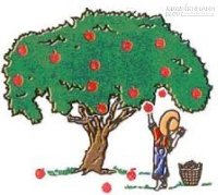 Một câu truyện đáng để đọc và suy ngẫm cho mỗi chúng ta
