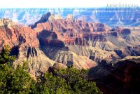 Một ngày ở hẻm núi lớn Grand Canyon