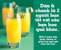 Mẹo hay cần biết về một số loại rau củ quả thường ngày