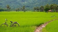 Báo Pháp bình chọn 10 điều hấp dẫn nhất Việt Nam