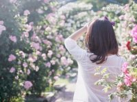 Sống đơn giản chính là hạnh phúc