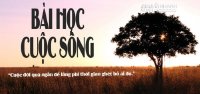 Bài học cuộc sống từ các câu chuyện vui
