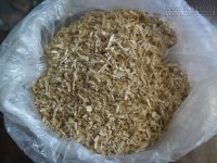 Cây thuốc lạ cứu sống người bị hư cả 2 quả thận