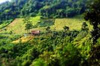 Đón bình minh trên Núi Voi ở Đà Lạt
