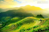 Nhiều hoạt động hấp dẫn tại gian hàng Fiditour
