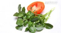 Cẩn trọng rau xanh có thể thành thuốc độc vì tương tác với thuốc