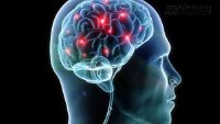 Bí quyết ăn uống để giữ cho não bộ trẻ lâu