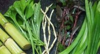Cách giải độc, thanh lọc cơ thể hiệu quả từ 3 cây cỏ dại